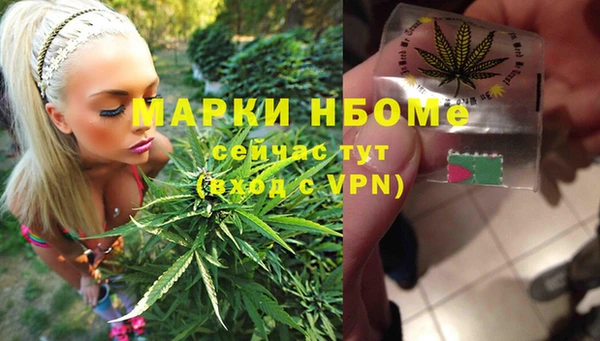 прущий лед Горняк